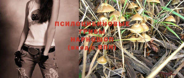 стафф Абинск