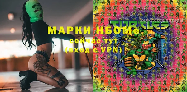 бошки Алексин