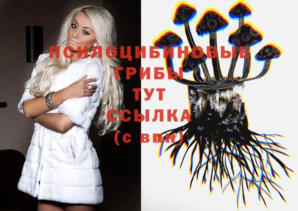 стафф Абинск